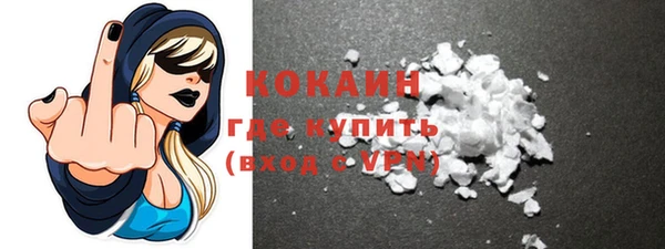 индика Горняк