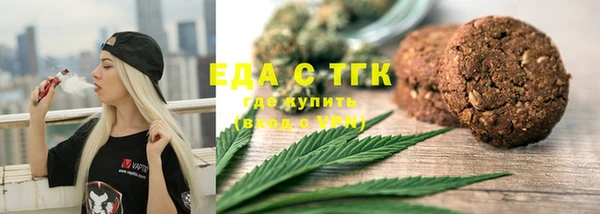 индика Горняк
