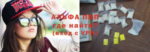 индика Горняк