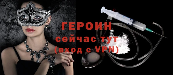 индика Туринск