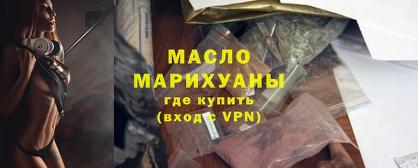 индика Горняк