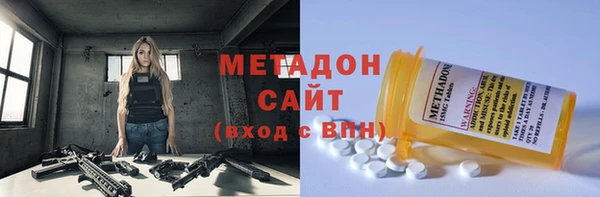 индика Горняк