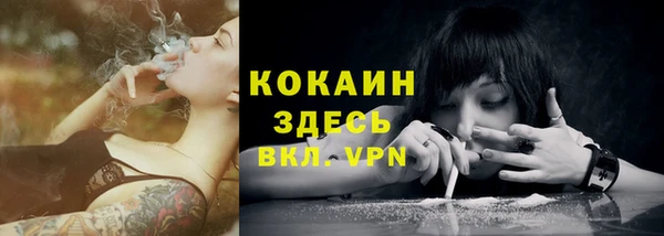 дживик Горнозаводск