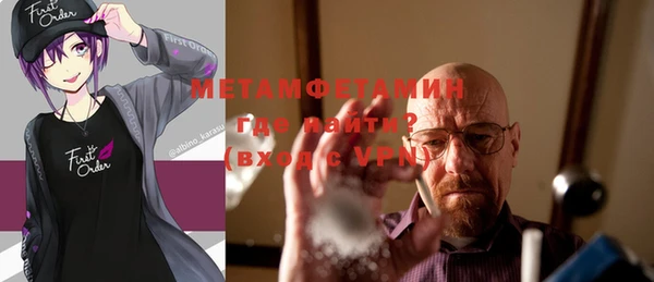 индика Горняк