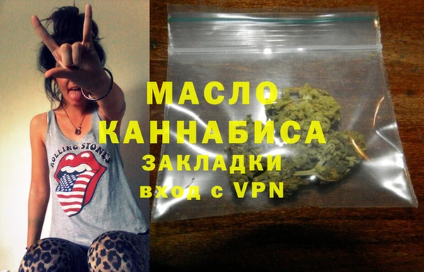 индика Горняк