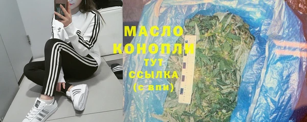 индика Горняк