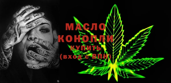 индика Туринск