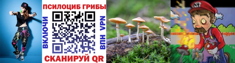 Купить  Обь  Галлюциногенные грибы прущие грибы 